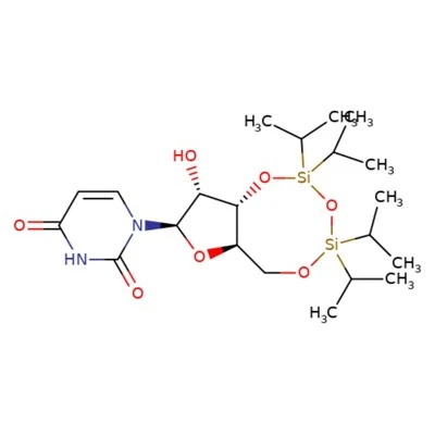 3 ', 5'-tips-uridyna
